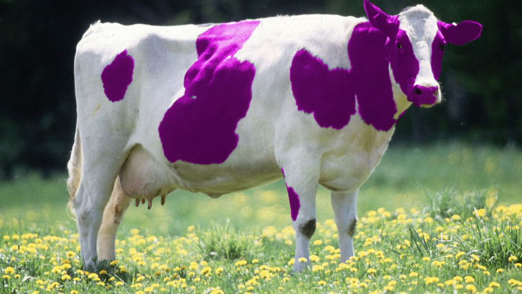 Vaca Roxa